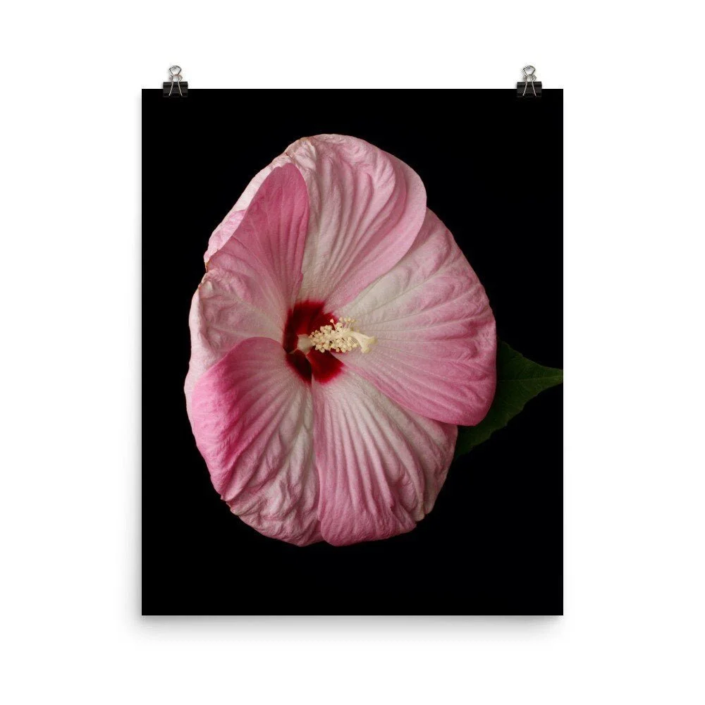 https://i.etsystatic.com/16519884/r/il/35fc7e/2422709350/il_fullxfull.2422709350_mw36.jpg