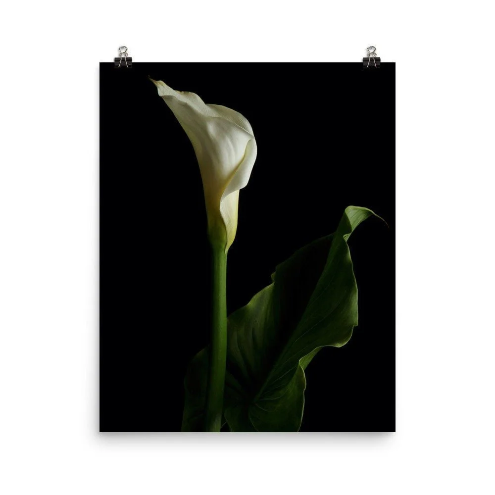 https://i.etsystatic.com/16519884/r/il/460476/2422989794/il_fullxfull.2422989794_ndnh.jpg