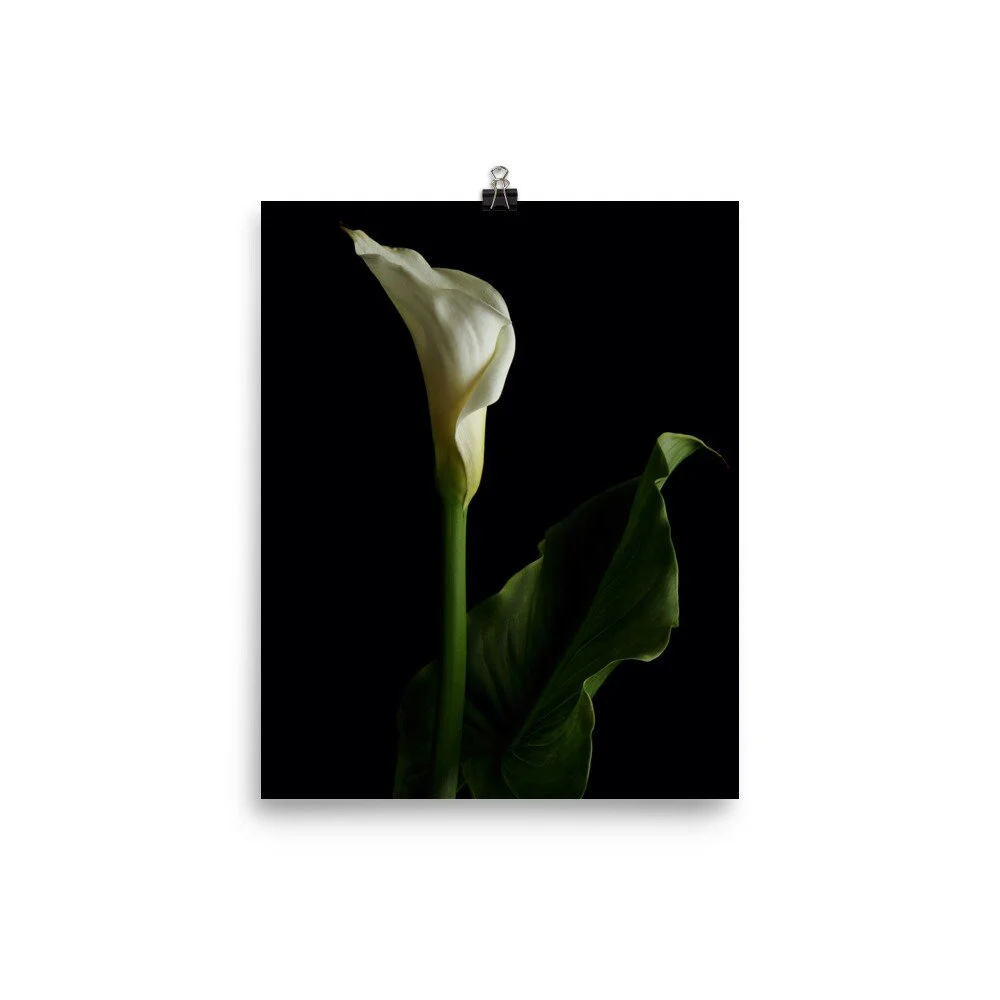 https://i.etsystatic.com/16519884/r/il/930e1f/2422988602/il_fullxfull.2422988602_ku9j.jpg