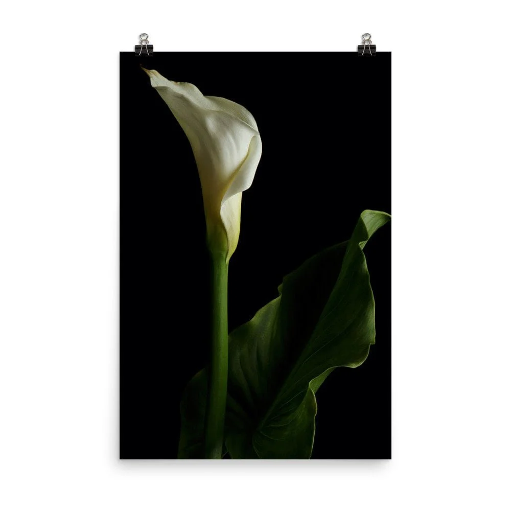 https://i.etsystatic.com/16519884/r/il/6f73ab/2422988432/il_fullxfull.2422988432_b7bk.jpg