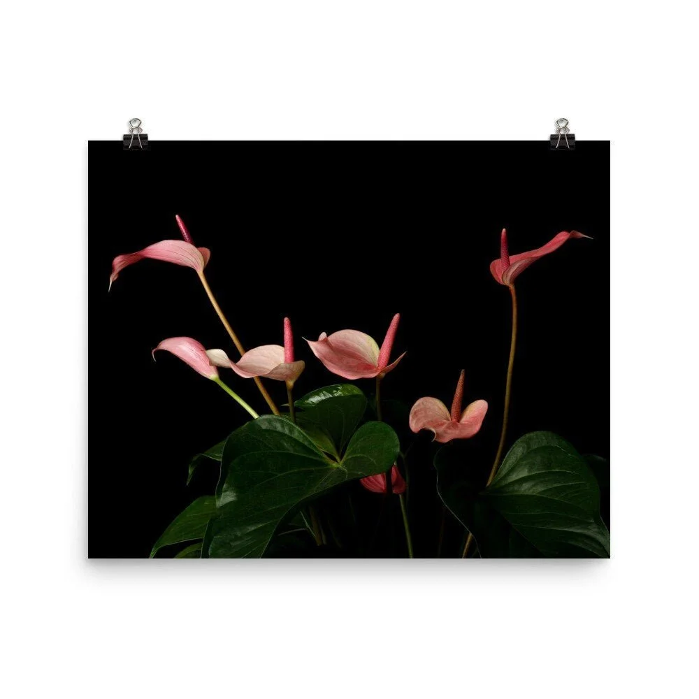https://i.etsystatic.com/16519884/r/il/45a7d4/2476554503/il_fullxfull.2476554503_fjyo.jpg