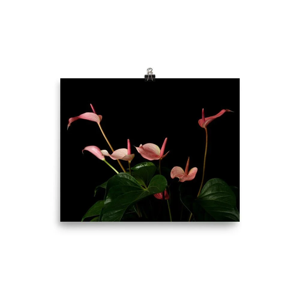 https://i.etsystatic.com/16519884/r/il/a044e3/2476552917/il_fullxfull.2476552917_kuh6.jpg