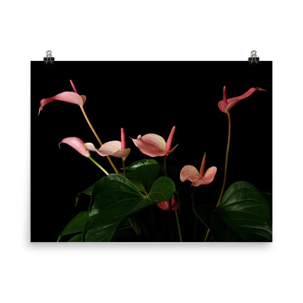 https://i.etsystatic.com/16519884/r/il/8a8998/2476552841/il_fullxfull.2476552841_rdlb.jpg