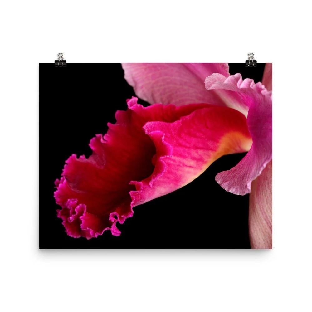 https://i.etsystatic.com/16519884/r/il/d8f6d4/2430899786/il_fullxfull.2430899786_5zk7.jpg