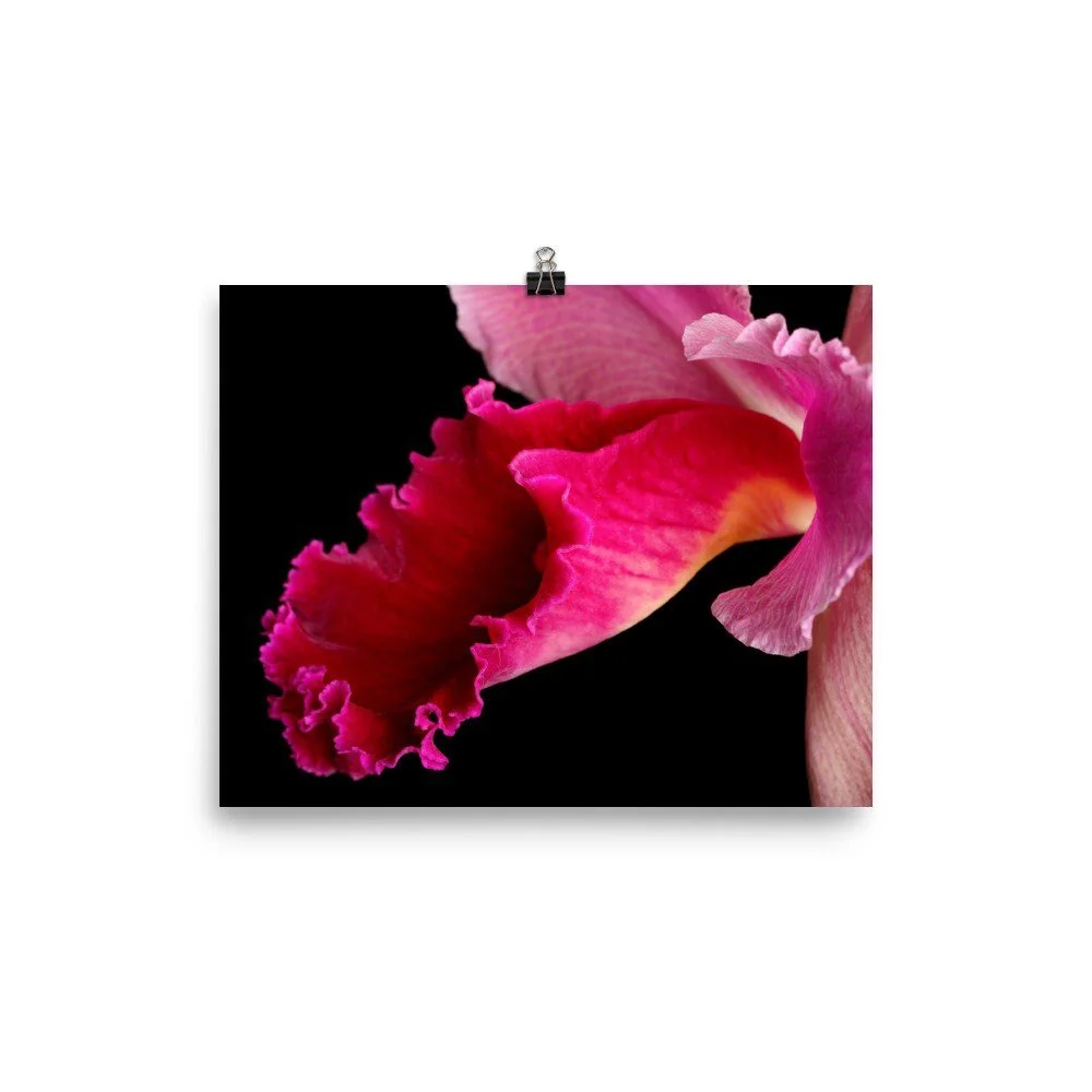 https://i.etsystatic.com/16519884/r/il/3a4927/2478527035/il_fullxfull.2478527035_7lrc.jpg