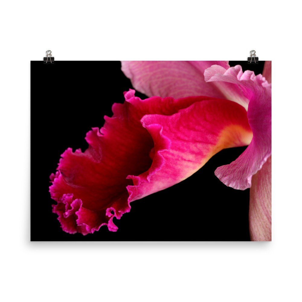 https://i.etsystatic.com/16519884/r/il/c842d7/2430898942/il_fullxfull.2430898942_k33k.jpg