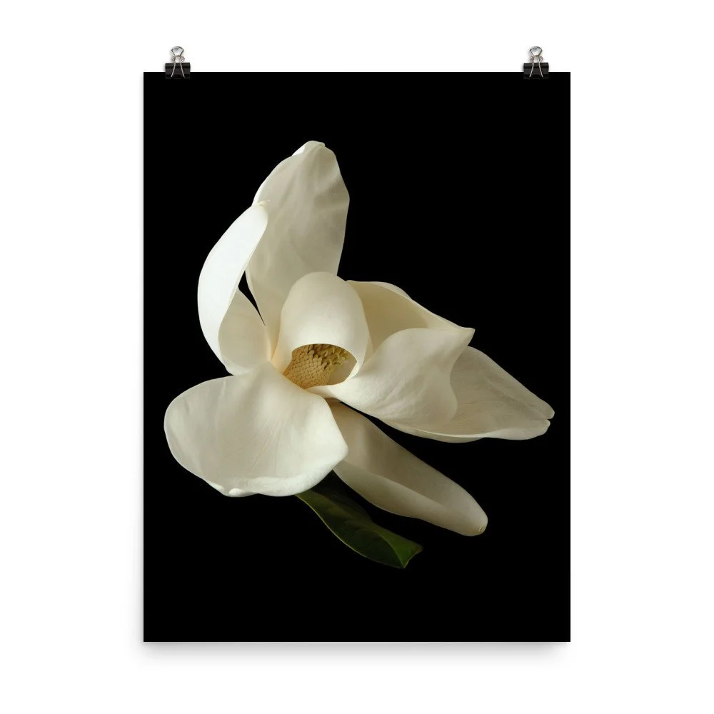 https://i.etsystatic.com/16519884/r/il/0a0ae4/2448860041/il_fullxfull.2448860041_89ek.jpg