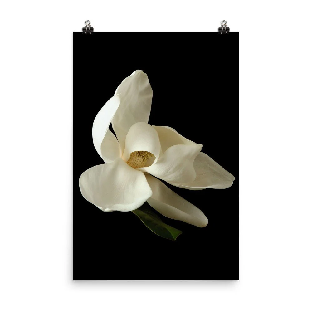 https://i.etsystatic.com/16519884/r/il/cf92d1/2448860007/il_fullxfull.2448860007_h2n5.jpg