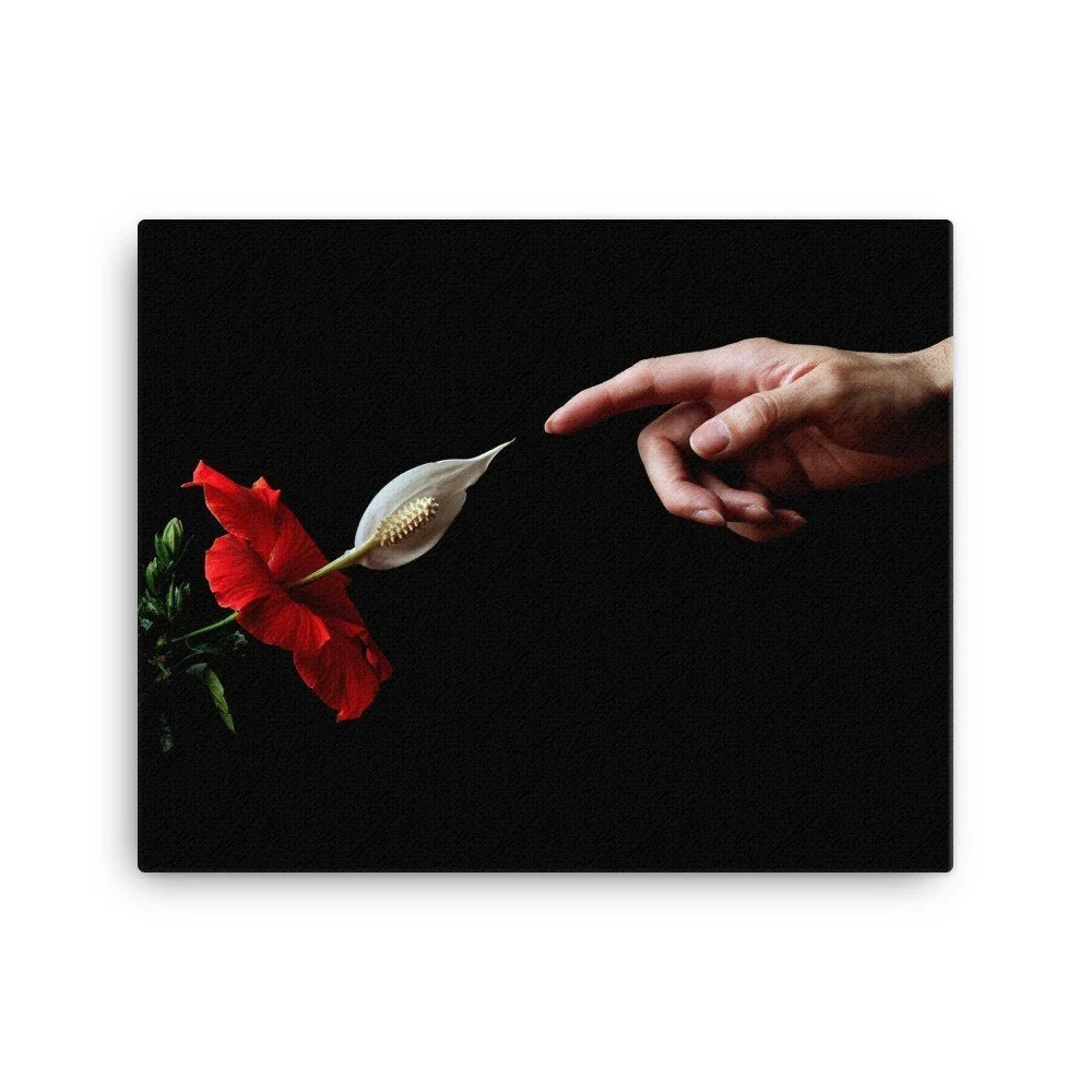 https://i.etsystatic.com/16519884/r/il/f0ec4b/2454501221/il_fullxfull.2454501221_nnrz.jpg