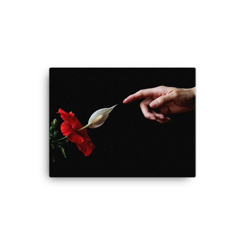 https://i.etsystatic.com/16519884/r/il/d033eb/2402608512/il_fullxfull.2402608512_rr9w.jpg