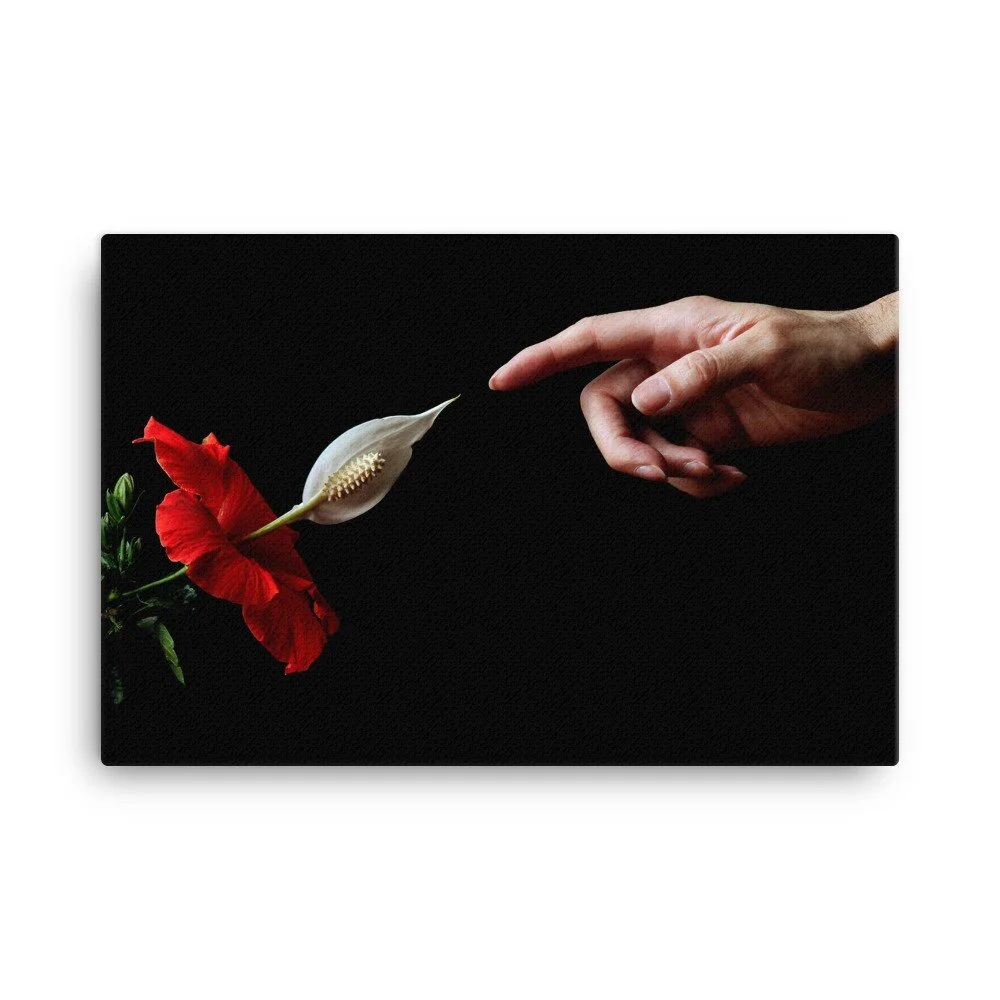 https://i.etsystatic.com/16519884/r/il/069243/2402608406/il_fullxfull.2402608406_tqhh.jpg
