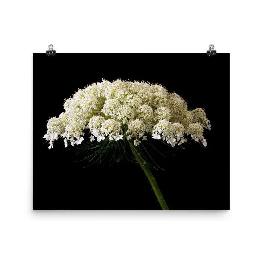 https://i.etsystatic.com/16519884/r/il/c88e51/2450268319/il_fullxfull.2450268319_1sie.jpg