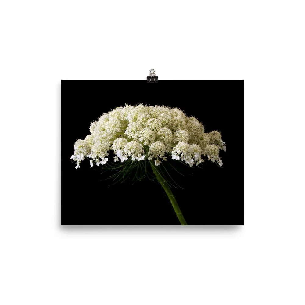 https://i.etsystatic.com/16519884/r/il/727858/2450267419/il_fullxfull.2450267419_32sb.jpg