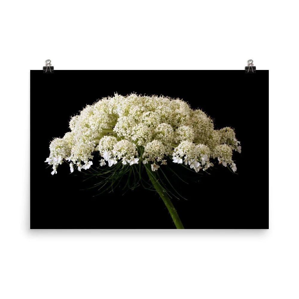 https://i.etsystatic.com/16519884/r/il/3c6da9/2402635500/il_fullxfull.2402635500_o6cx.jpg