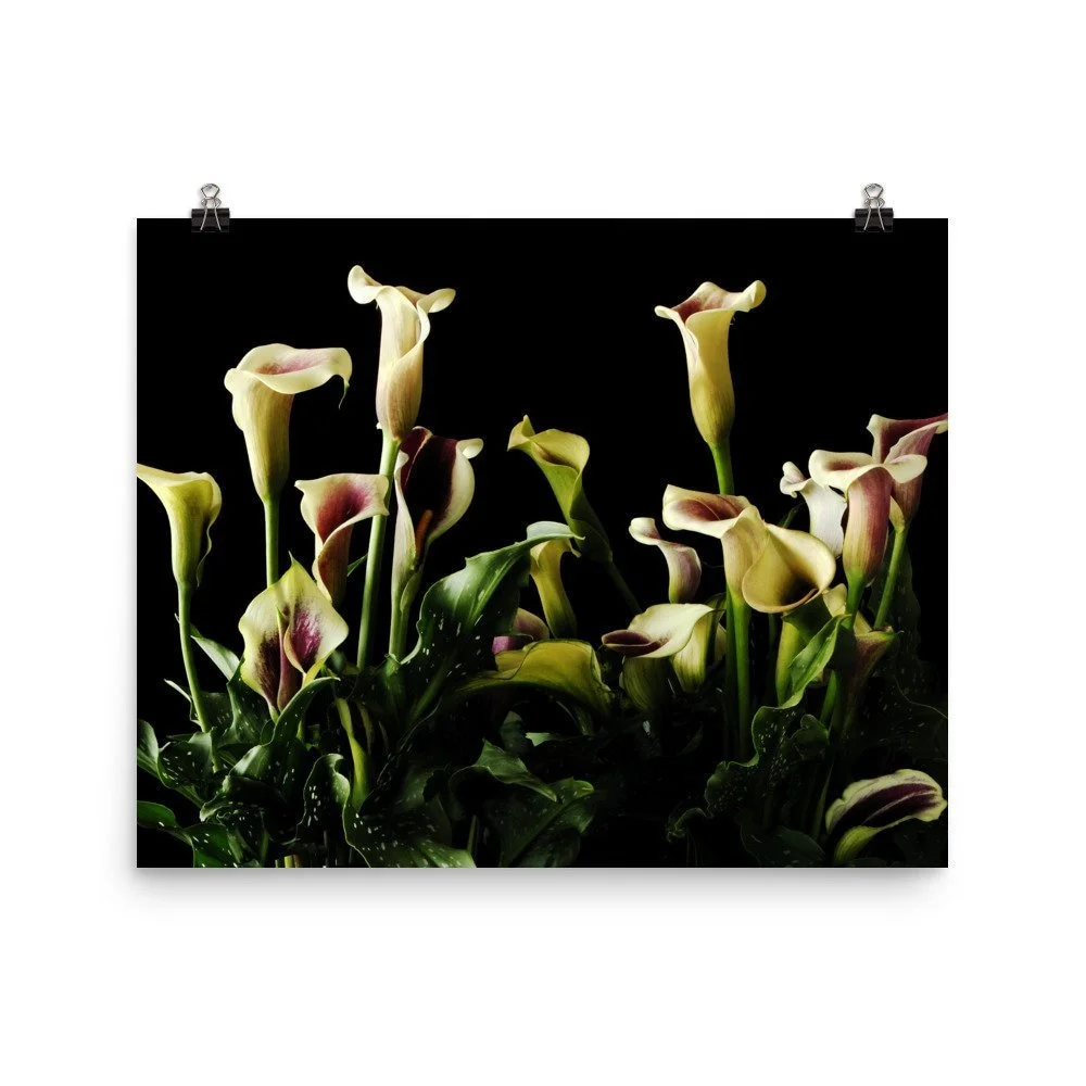 https://i.etsystatic.com/16519884/r/il/944972/2422287502/il_fullxfull.2422287502_9p0n.jpg