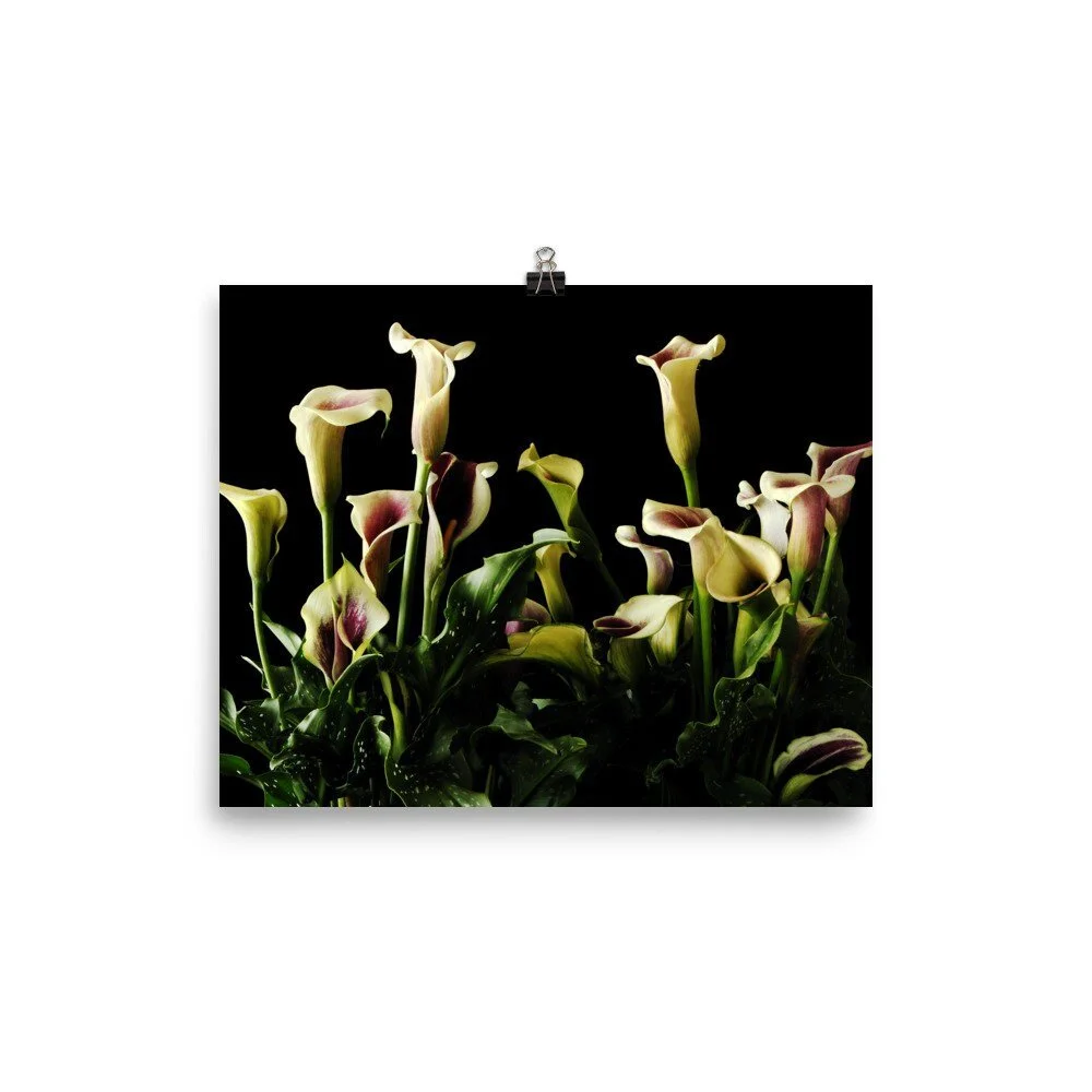 https://i.etsystatic.com/16519884/r/il/d14ab0/2469914247/il_fullxfull.2469914247_pkwu.jpg