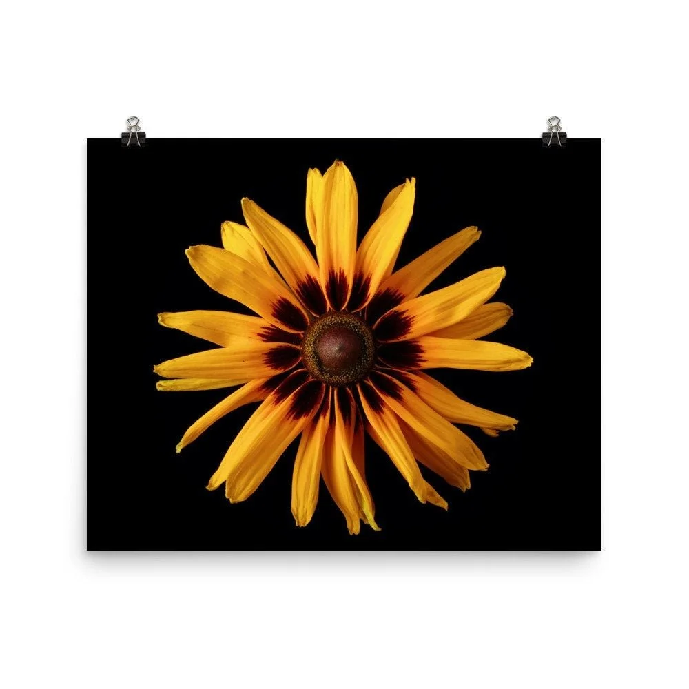 https://i.etsystatic.com/16519884/r/il/35a054/2470604485/il_fullxfull.2470604485_irii.jpg