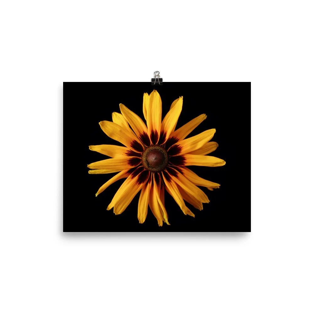 https://i.etsystatic.com/16519884/r/il/429fbf/2470603223/il_fullxfull.2470603223_44et.jpg