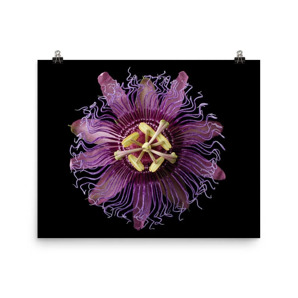 https://i.etsystatic.com/16519884/r/il/8dca71/2470804349/il_fullxfull.2470804349_czt1.jpg