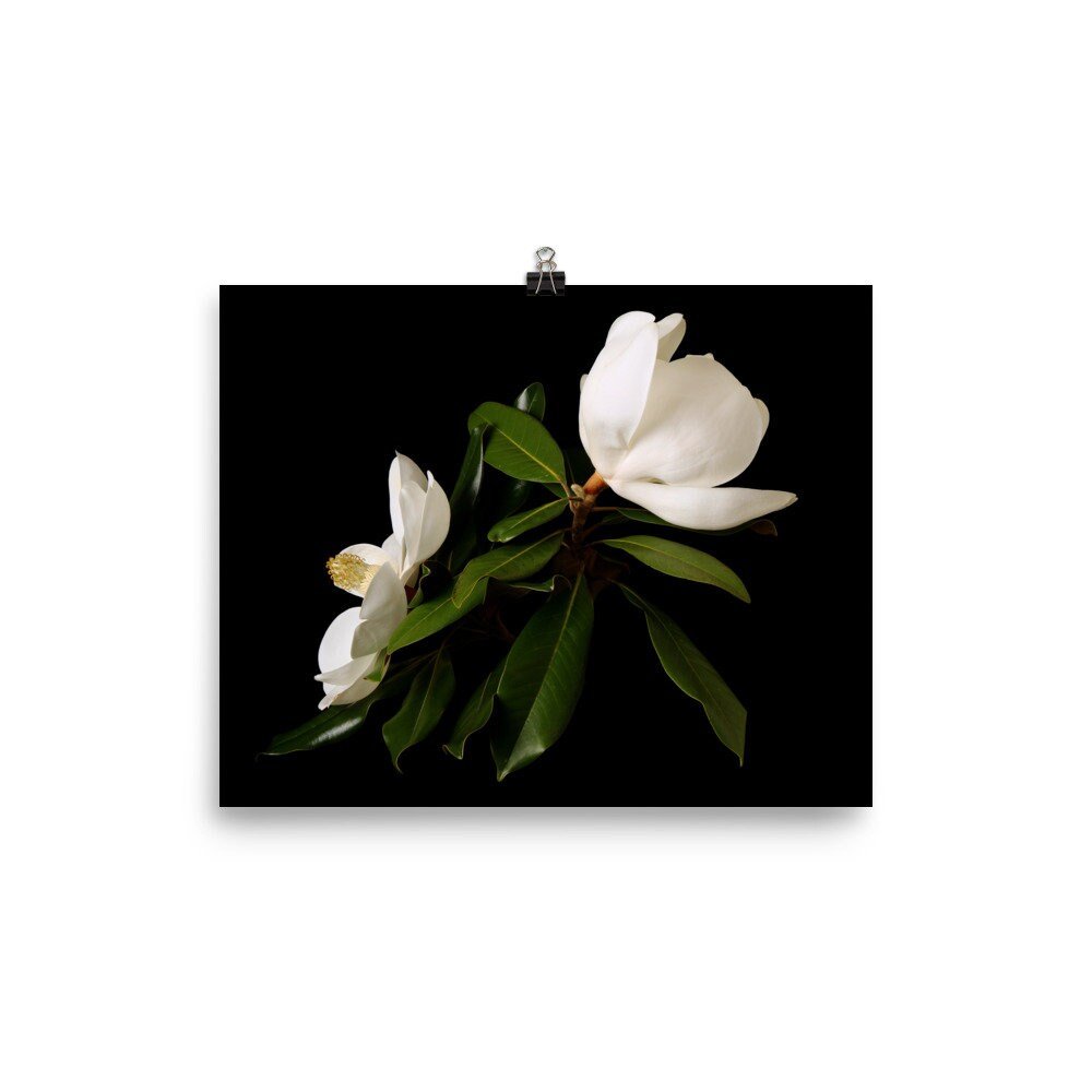 https://i.etsystatic.com/16519884/r/il/6af013/2425929018/il_fullxfull.2425929018_5ap0.jpg