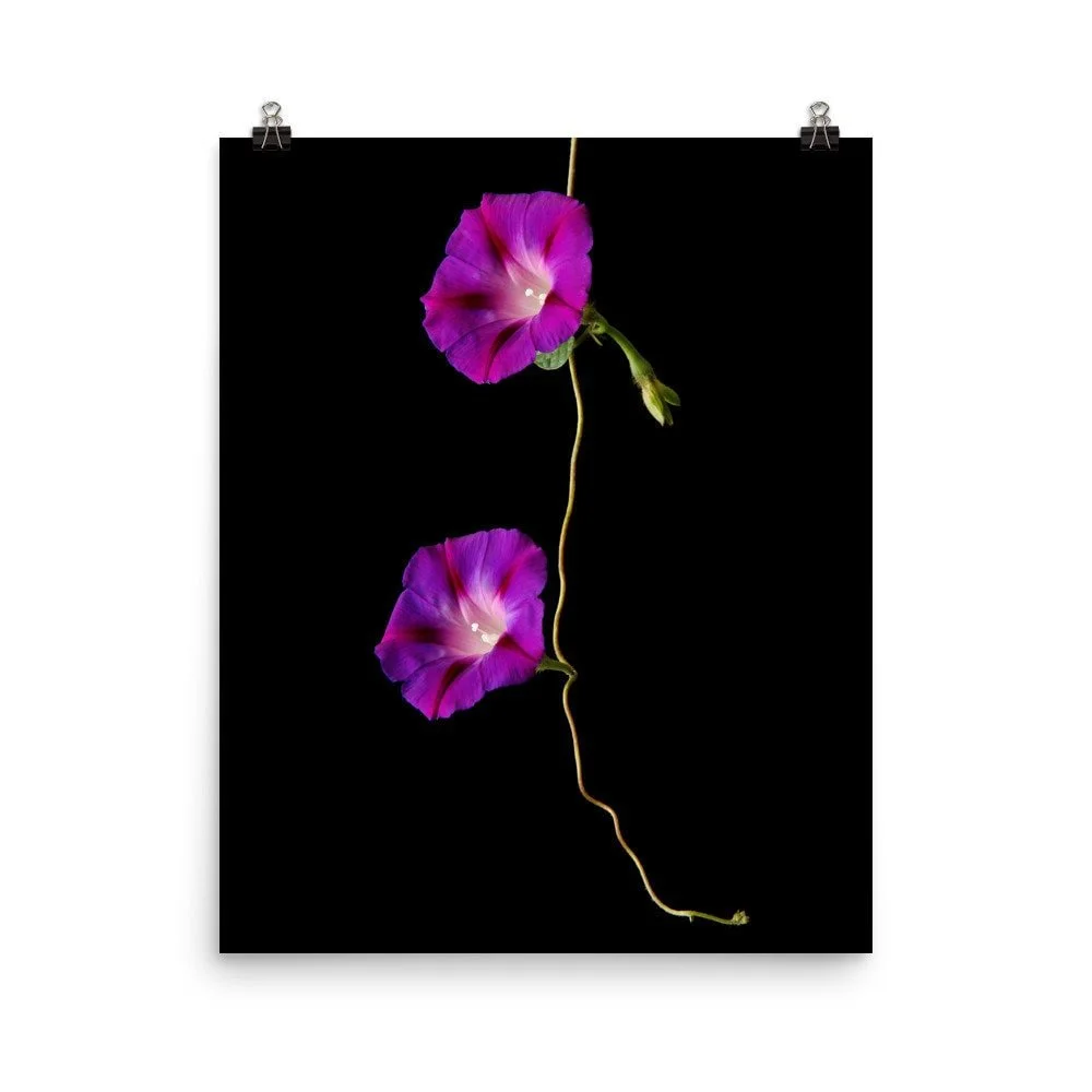 https://i.etsystatic.com/16519884/r/il/203eb2/2426382770/il_fullxfull.2426382770_ljg0.jpg
