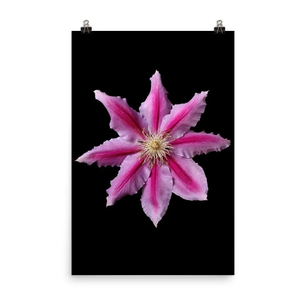 https://i.etsystatic.com/16519884/r/il/4dd79d/2475451321/il_fullxfull.2475451321_c0yt.jpg