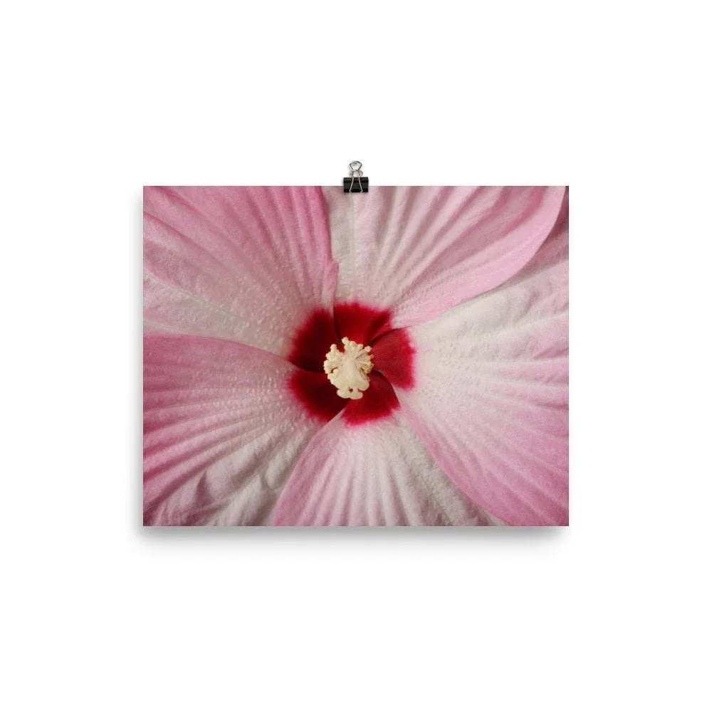 https://i.etsystatic.com/16519884/r/il/6f3fe2/2423159614/il_fullxfull.2423159614_b0wz.jpg