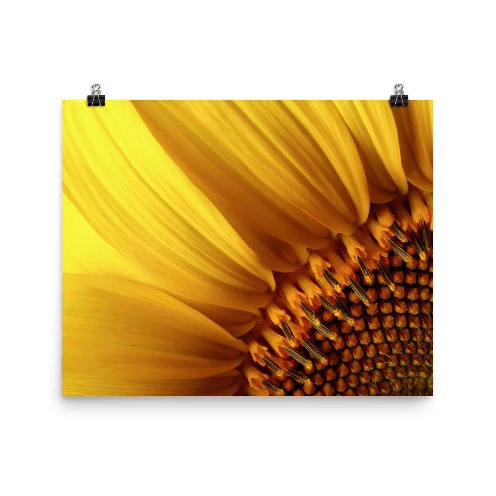 https://i.etsystatic.com/16519884/r/il/8cc048/2473993839/il_fullxfull.2473993839_o774.jpg
