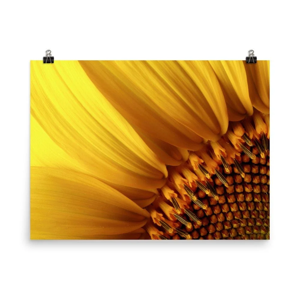 https://i.etsystatic.com/16519884/r/il/ea5faf/2426360352/il_fullxfull.2426360352_sdms.jpg