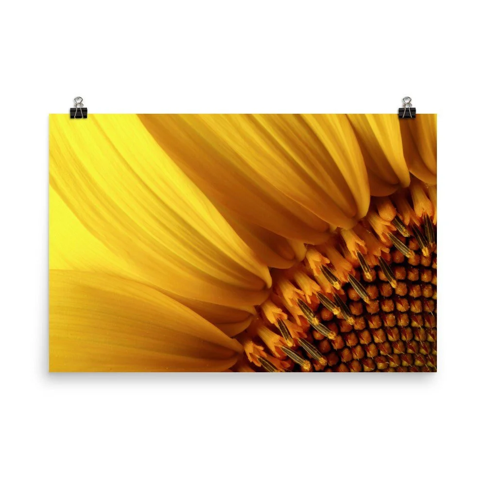 https://i.etsystatic.com/16519884/r/il/3750d5/2473992617/il_fullxfull.2473992617_p53o.jpg