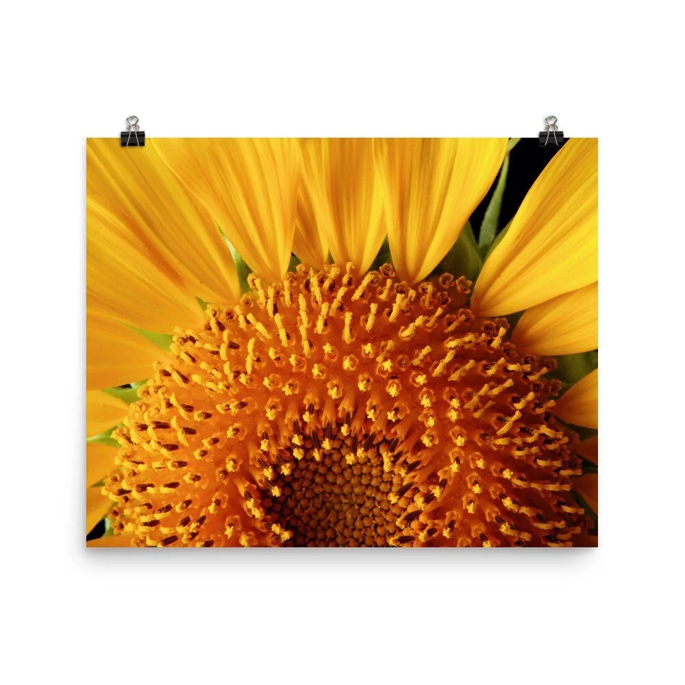 https://i.etsystatic.com/16519884/r/il/e2d22a/2474002775/il_fullxfull.2474002775_r9p8.jpg