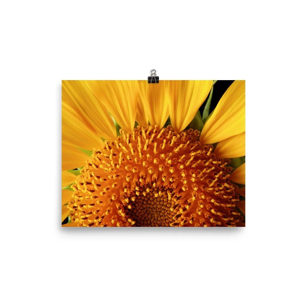 https://i.etsystatic.com/16519884/r/il/c74a22/2426369642/il_fullxfull.2426369642_ns4x.jpg