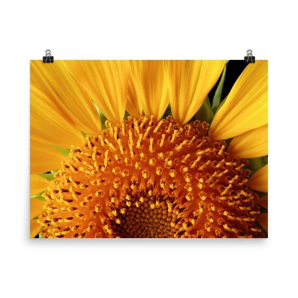 https://i.etsystatic.com/16519884/r/il/125208/2474001687/il_fullxfull.2474001687_owsd.jpg