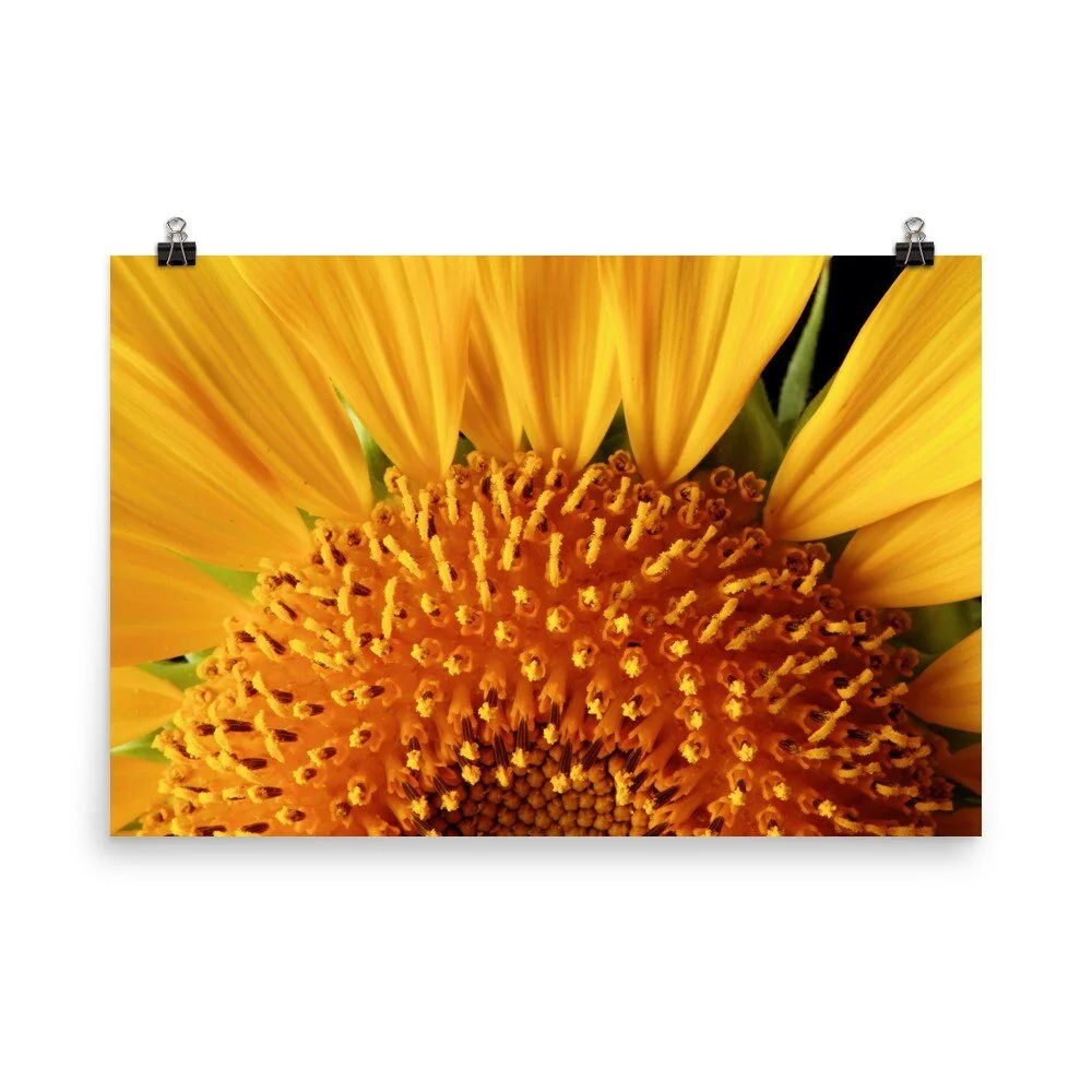 https://i.etsystatic.com/16519884/r/il/be3d87/2474001621/il_fullxfull.2474001621_hprj.jpg