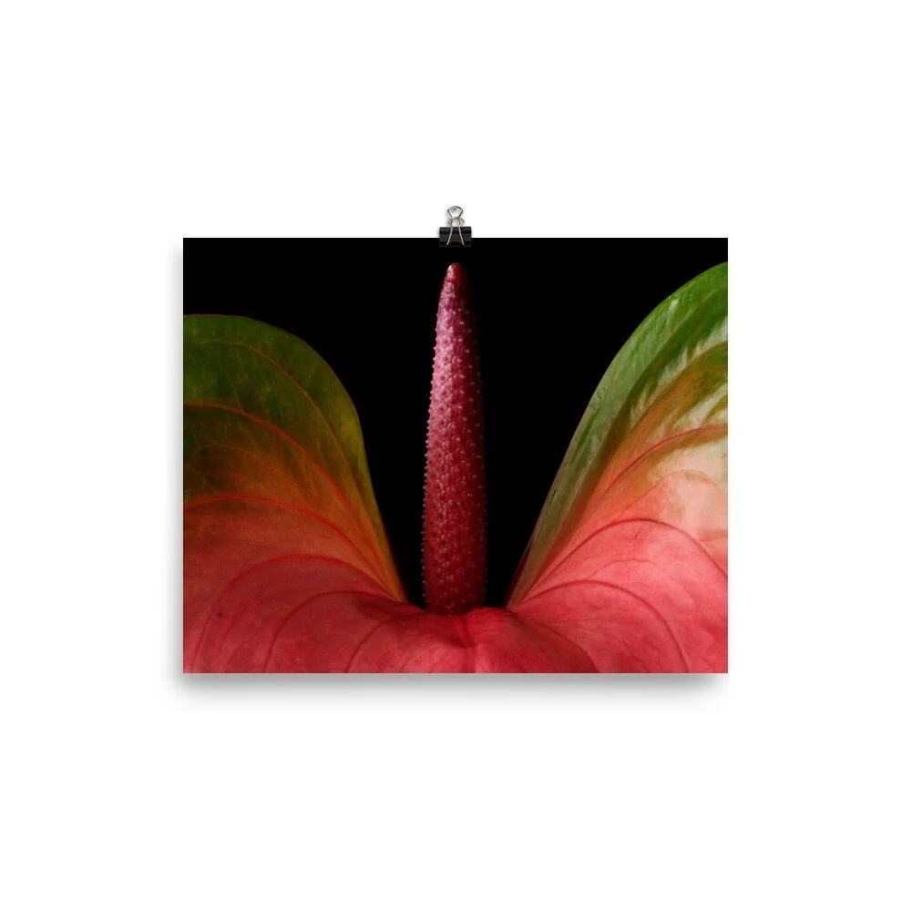 https://i.etsystatic.com/16519884/r/il/4c6257/2478461279/il_fullxfull.2478461279_tda2.jpg
