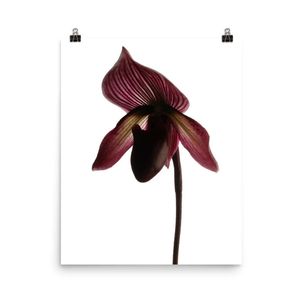 https://i.etsystatic.com/16519884/r/il/ea7ae4/2486828481/il_fullxfull.2486828481_a47b.jpg