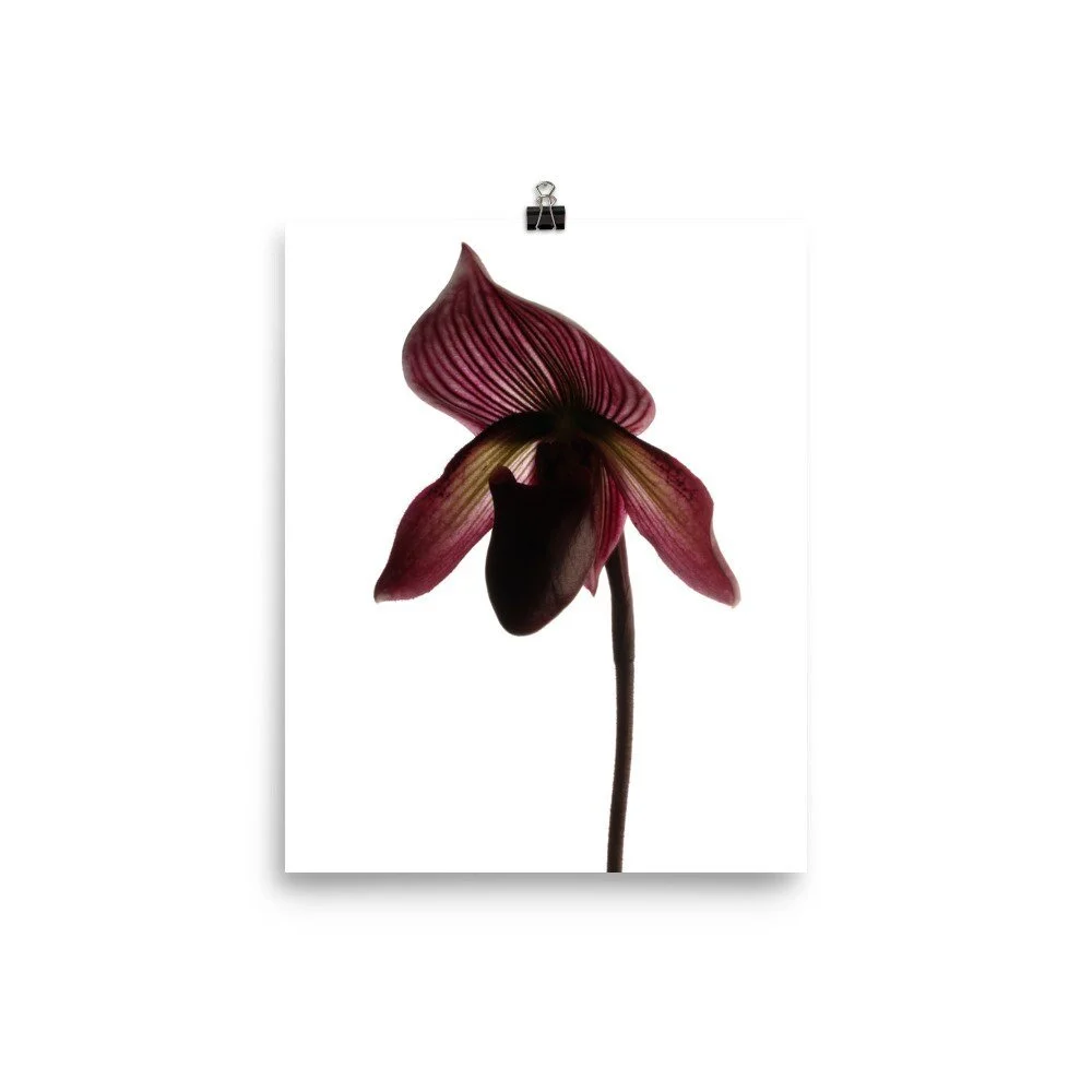 https://i.etsystatic.com/16519884/r/il/29929f/2486827393/il_fullxfull.2486827393_4to2.jpg