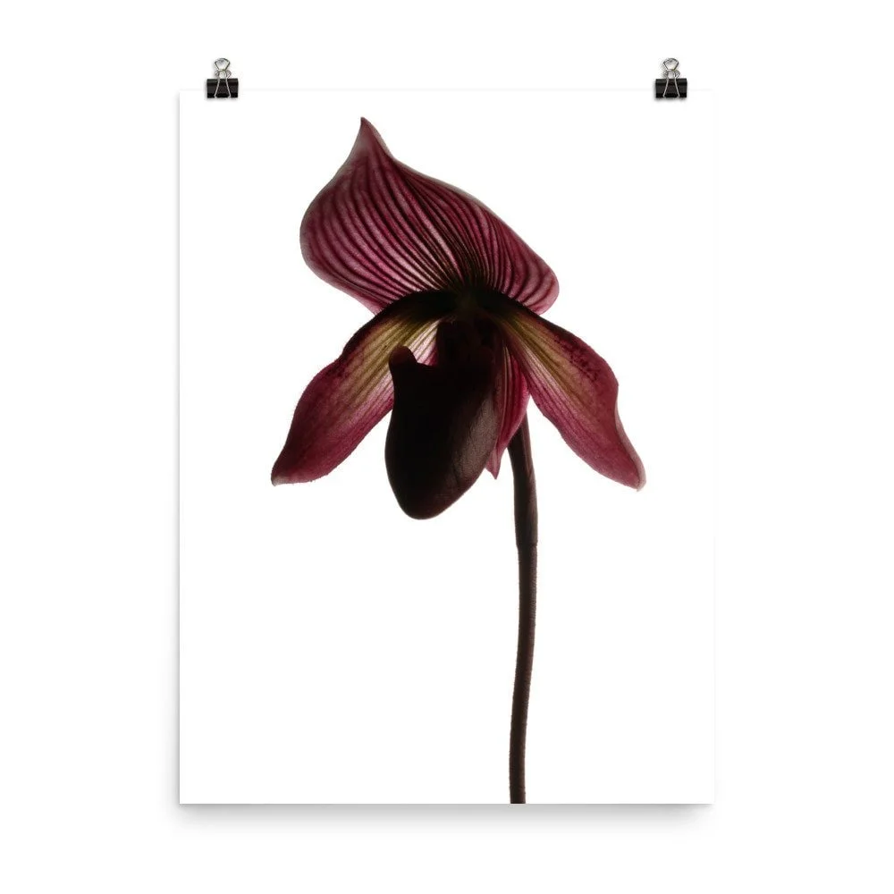 https://i.etsystatic.com/16519884/r/il/090b4a/2439198496/il_fullxfull.2439198496_5eop.jpg