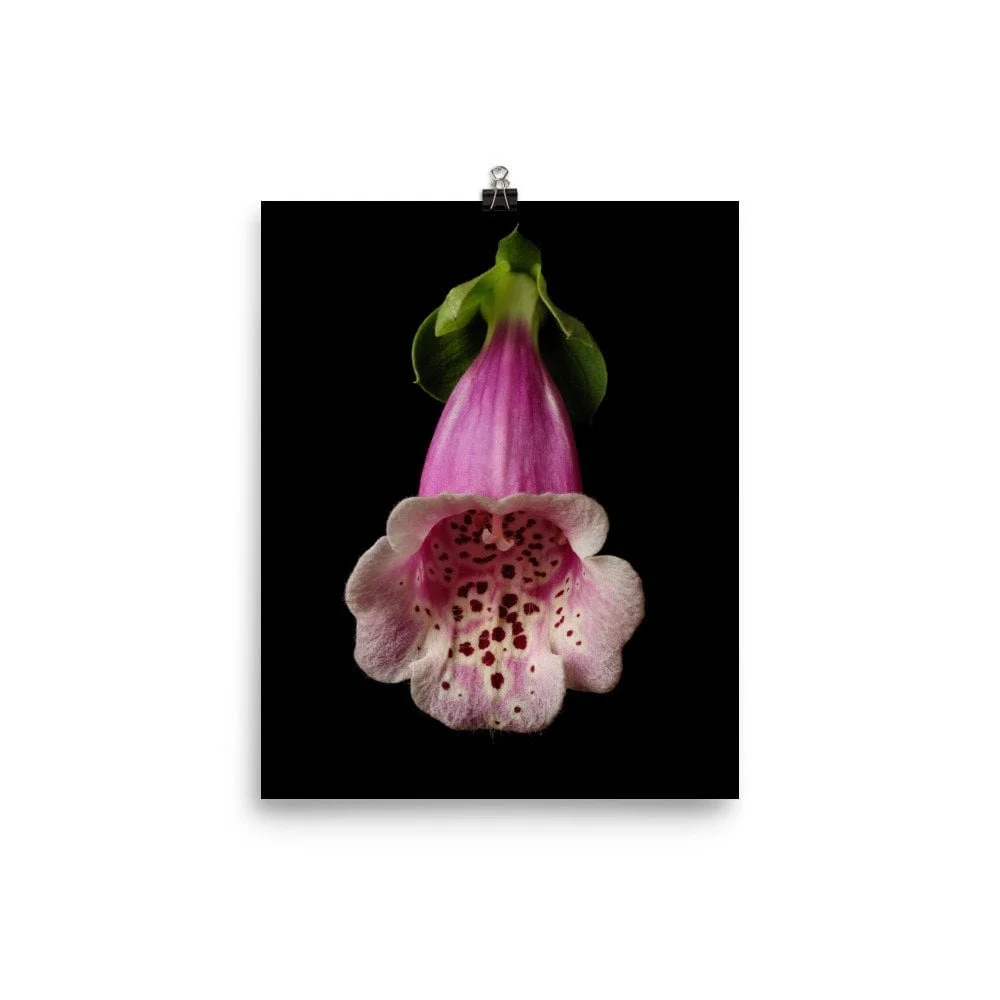 https://i.etsystatic.com/16519884/r/il/7622f5/2475487841/il_fullxfull.2475487841_jz4n.jpg