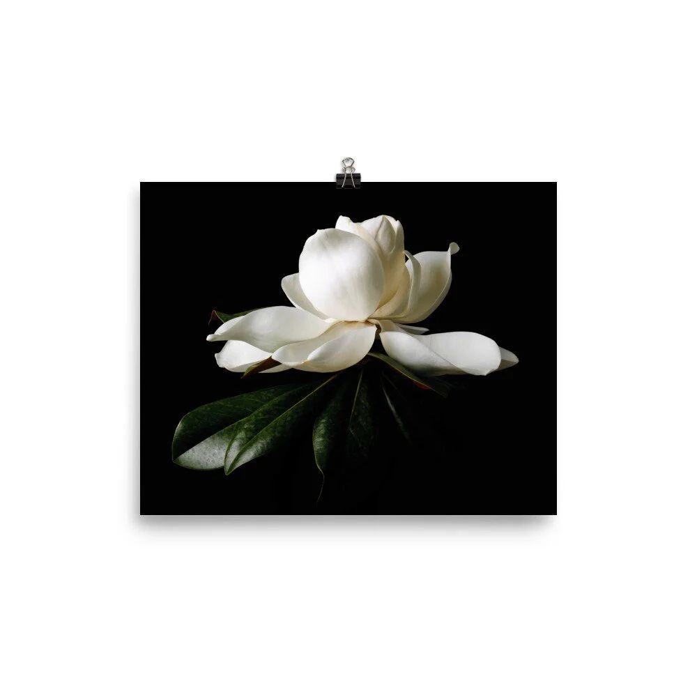 https://i.etsystatic.com/16519884/r/il/143335/2400451908/il_fullxfull.2400451908_hgnc.jpg