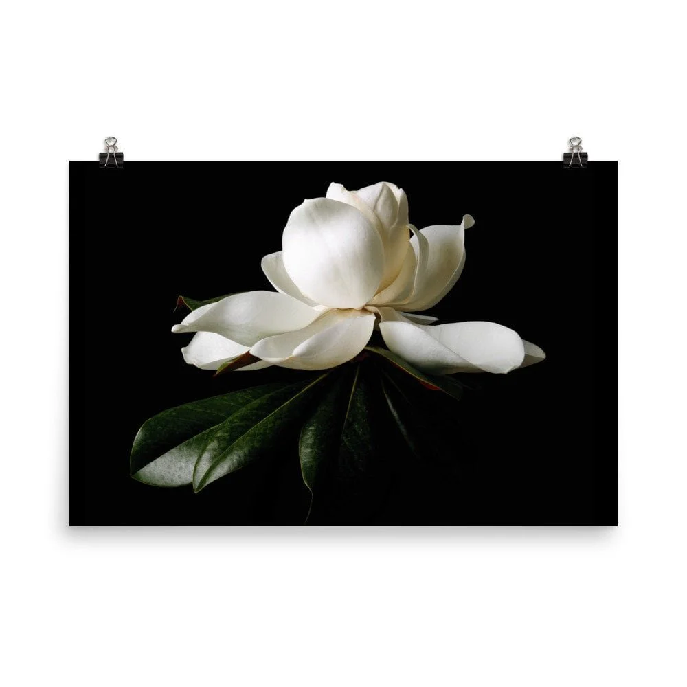 https://i.etsystatic.com/16519884/r/il/585d55/2400451806/il_fullxfull.2400451806_413z.jpg