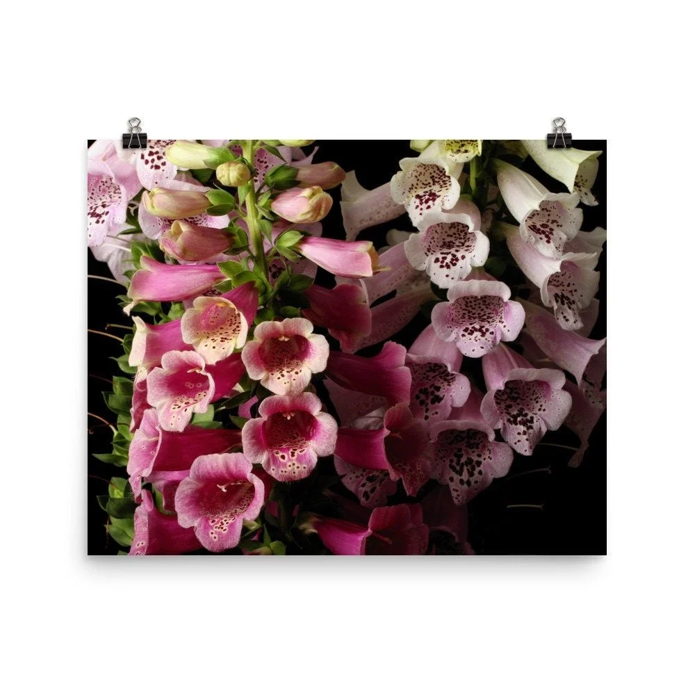 https://i.etsystatic.com/16519884/r/il/026b83/2428087388/il_fullxfull.2428087388_s8i0.jpg