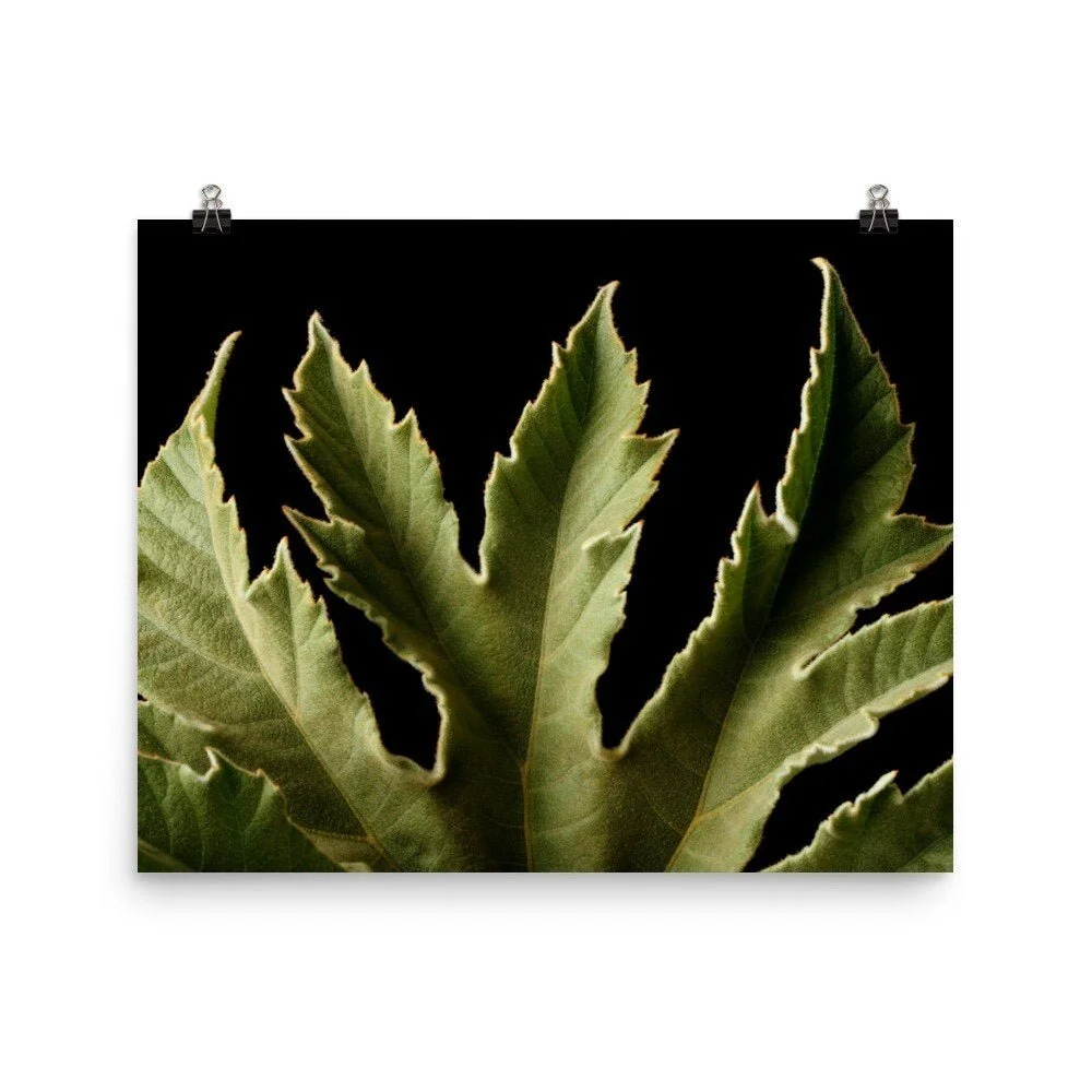 https://i.etsystatic.com/16519884/r/il/26d3ff/2480332971/il_fullxfull.2480332971_gv9q.jpg