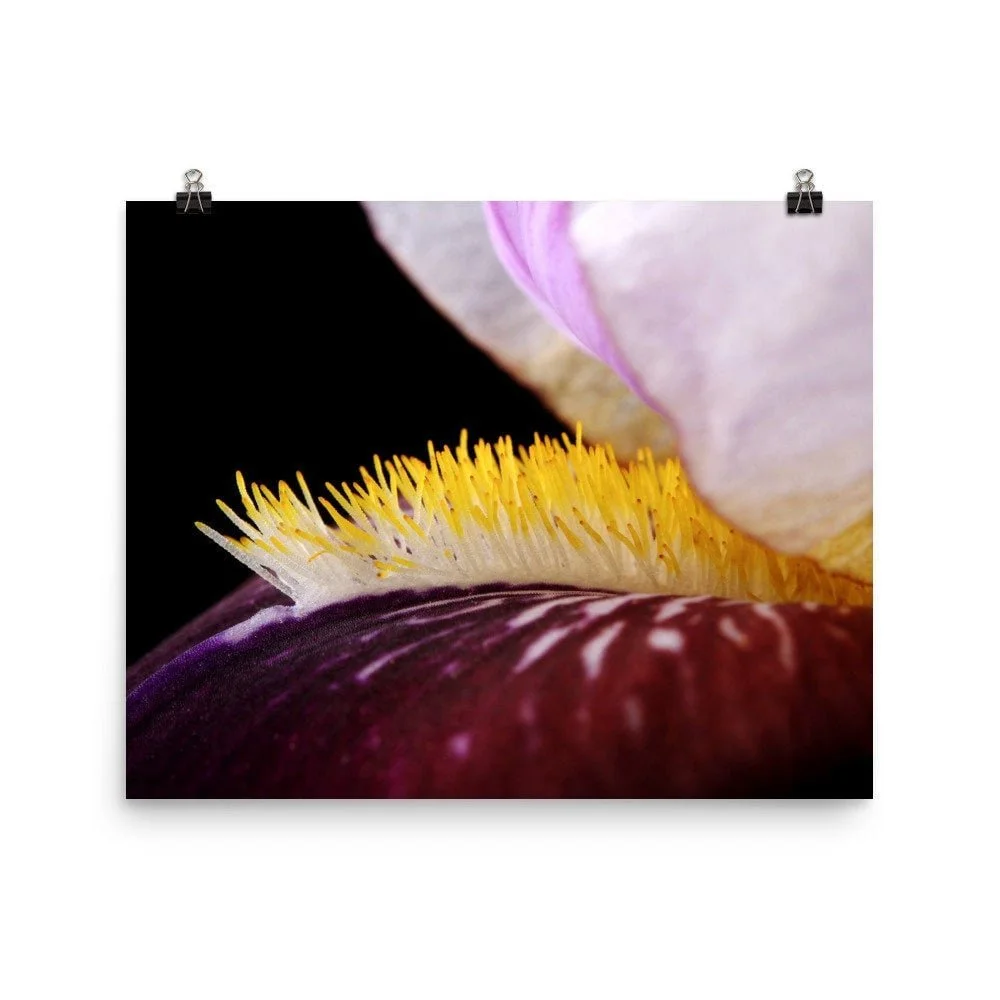 https://i.etsystatic.com/16519884/r/il/4f97e2/2487688771/il_fullxfull.2487688771_a45g.jpg