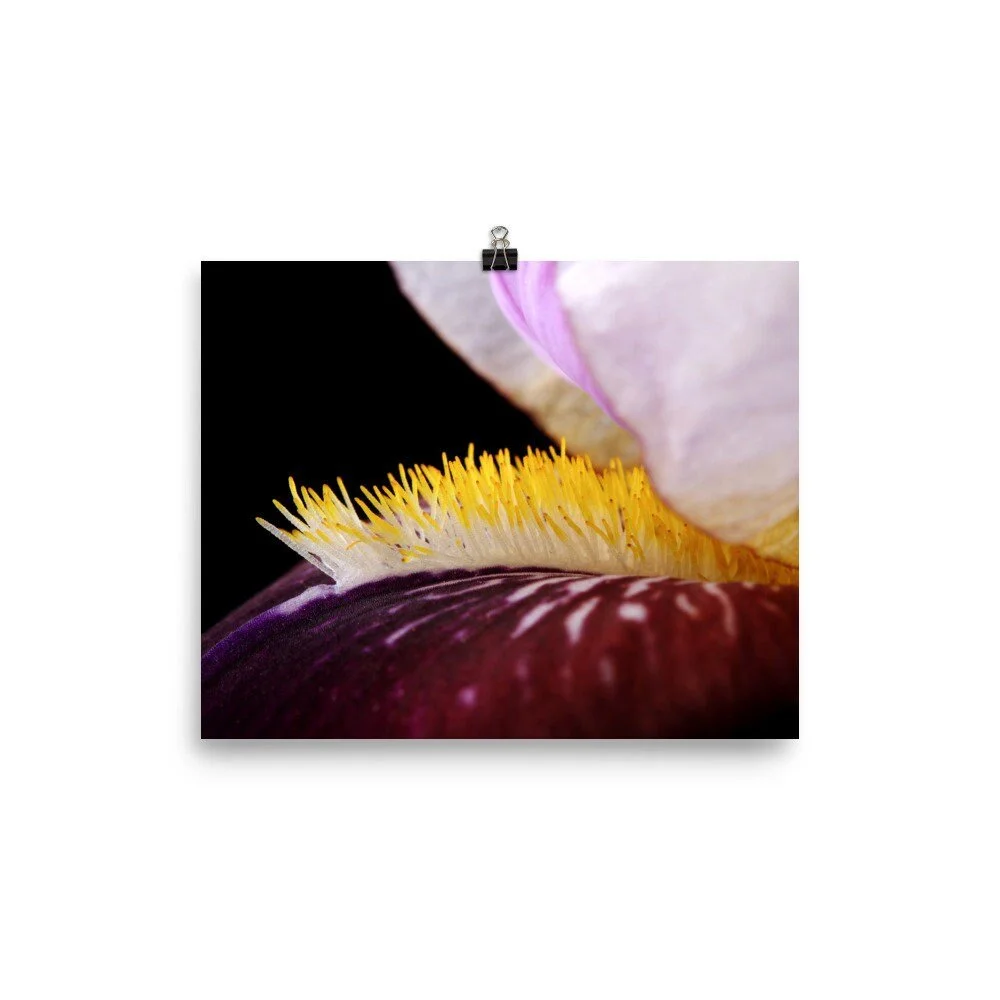https://i.etsystatic.com/16519884/r/il/73507e/2487688065/il_fullxfull.2487688065_3xr2.jpg