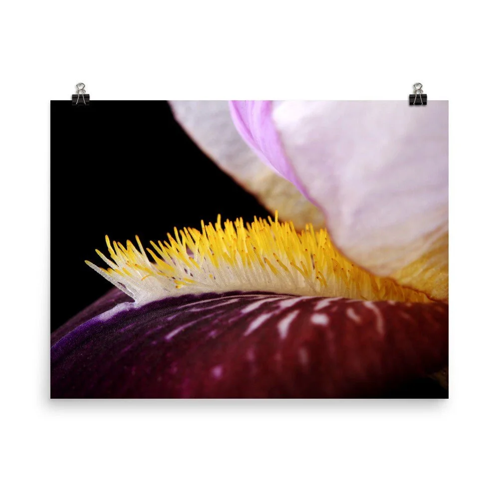 https://i.etsystatic.com/16519884/r/il/8e467c/2487688045/il_fullxfull.2487688045_p020.jpg