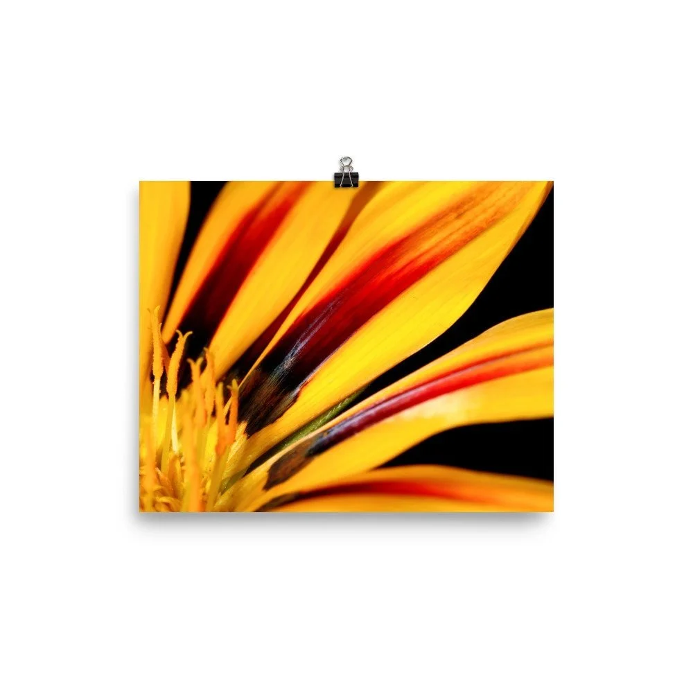 https://i.etsystatic.com/16519884/r/il/5c2db5/2440096786/il_fullxfull.2440096786_gpd5.jpg
