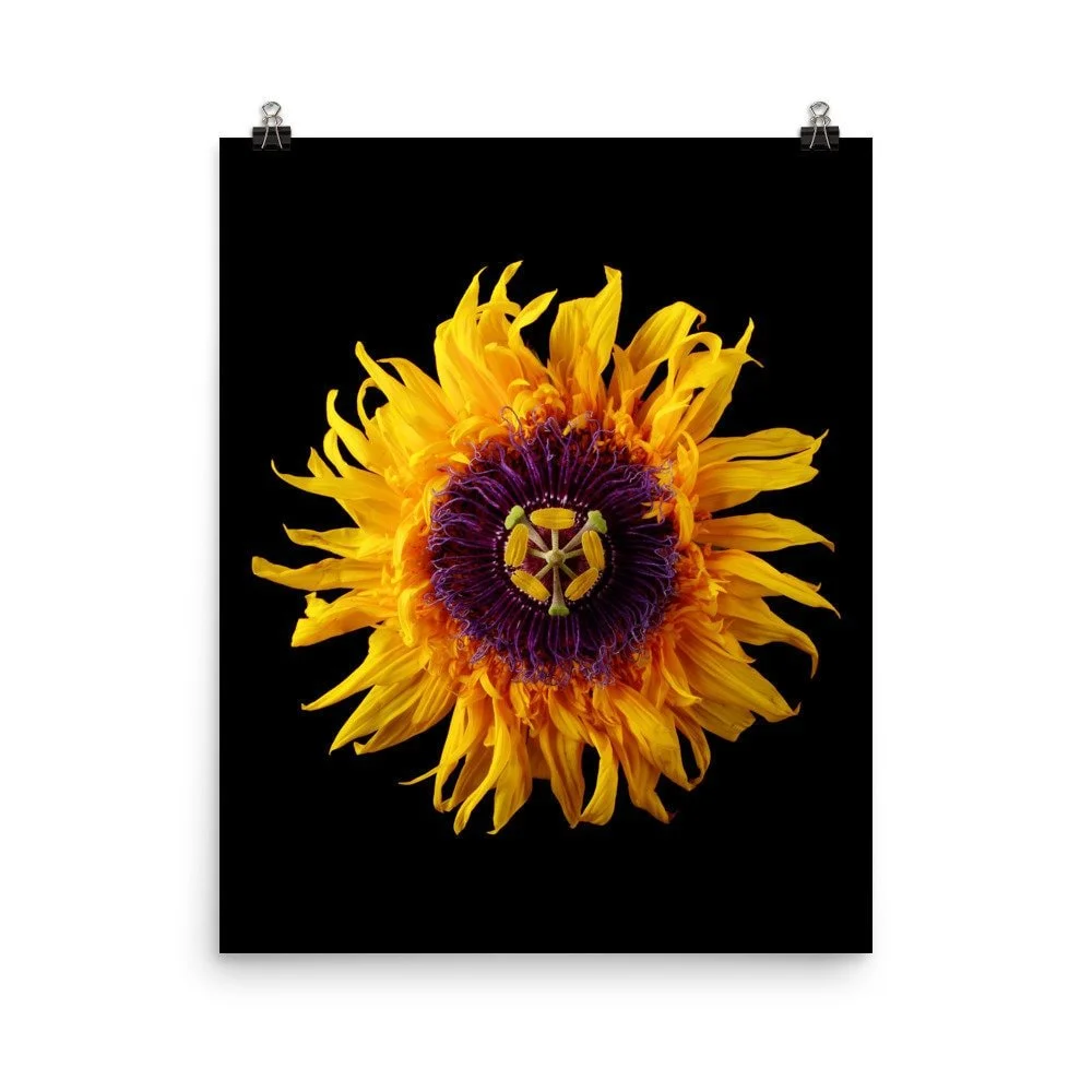 https://i.etsystatic.com/16519884/r/il/26f271/2406121454/il_fullxfull.2406121454_s45i.jpg