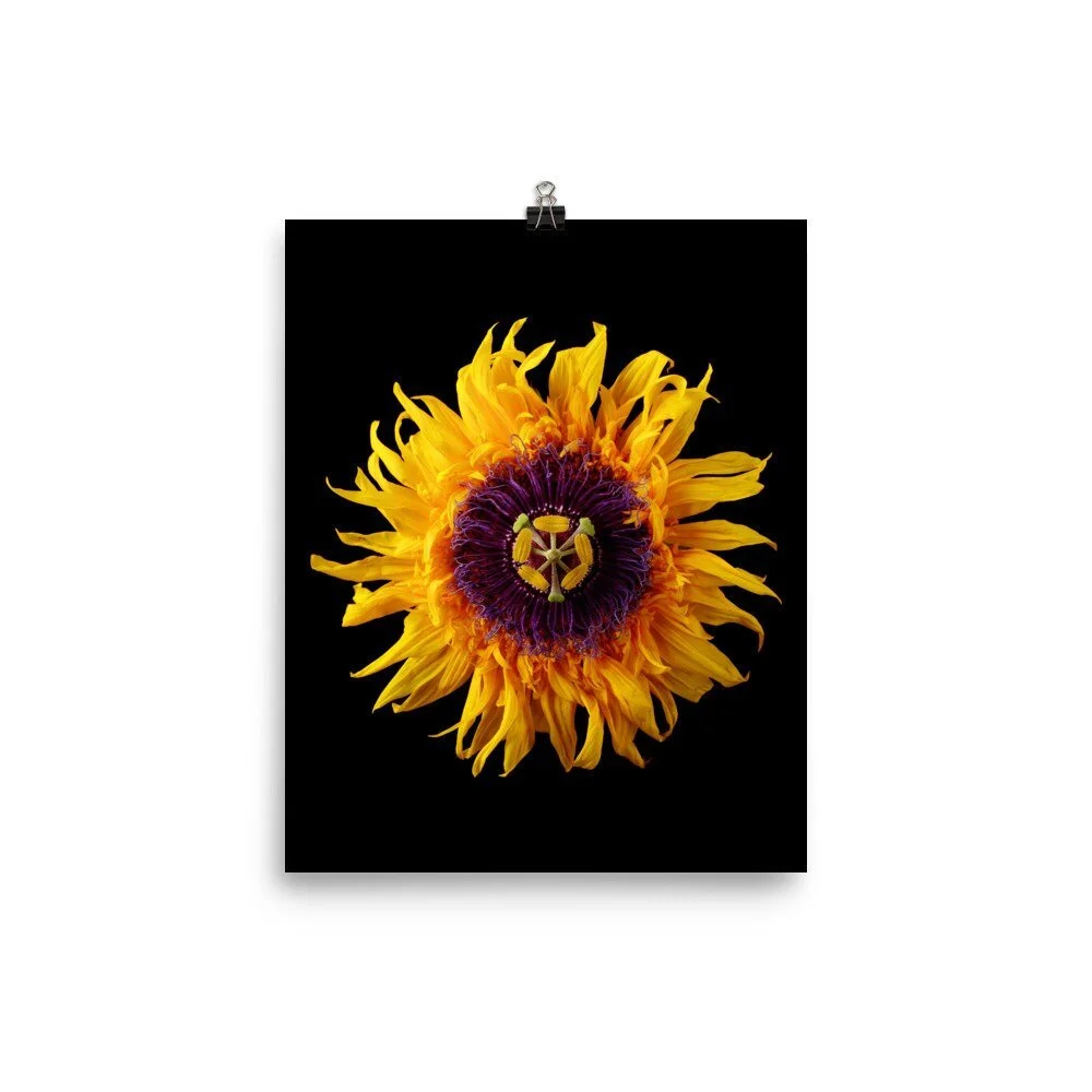 https://i.etsystatic.com/16519884/r/il/87582c/2406120964/il_fullxfull.2406120964_5hee.jpg