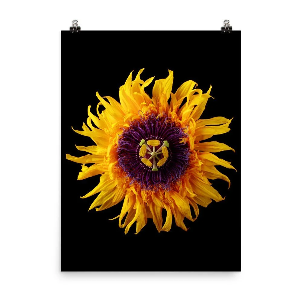 https://i.etsystatic.com/16519884/r/il/706cb6/2453751821/il_fullxfull.2453751821_arnf.jpg